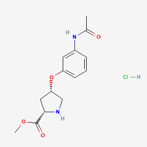 molecular formula C14H19ClN2O4 B1398271 Methyl (2S,4S)-4-[3-(acetylamino)phenoxy]-2-pyrrolidinecarboxylate hydrochloride CAS No. 1354484-58-4