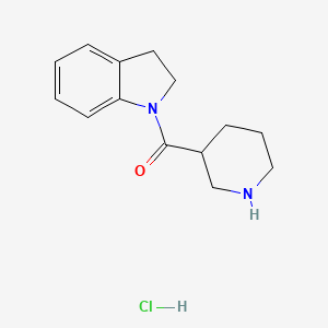 molecular formula C14H19ClN2O B1398286 2,3-Dihydro-1H-indol-1-yl(3-piperidinyl)methanone hydrochloride CAS No. 1220033-68-0