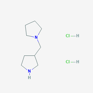 molecular formula C9H20Cl2N2 B1398332 1-(3-Pyrrolidinylmethyl)pyrrolidine dihydrochloride CAS No. 1219981-46-0