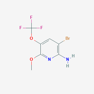 3-Bromo-6-methoxy-5-(trifluoromethoxy)pyridin-2-amine