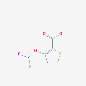 molecular formula C7H6F2O3S B13984275 Methyl 3-difluoromethoxy-thiophene-2-carboxylate CAS No. 202400-95-1