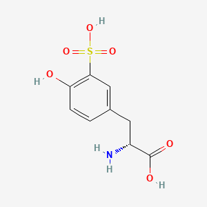 molecular formula C9H11NO6S B13984356 (R)-2-amino-3-(4-hydroxy-3-sulfophenyl)propanoic acid 