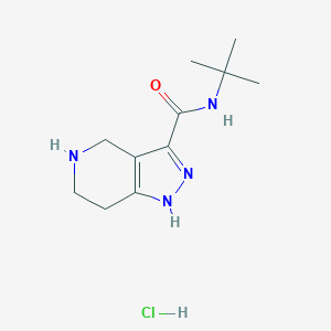 molecular formula C11H19ClN4O B1398449 N-(叔丁基)-4,5,6,7-四氢-1H-吡唑并[4,3-c]吡啶-3-甲酰胺盐酸盐 CAS No. 1220027-65-5