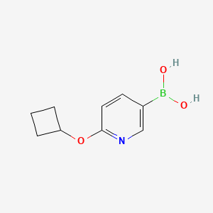 molecular formula C9H12BNO3 B13986293 (6-Cyclobutoxypyridin-3-yl)boronic acid 