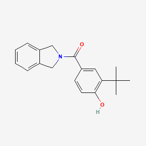 2-Tert-butyl-4-(1,3-dihydro-2H-isoindol-2-ylcarbonyl)phenol