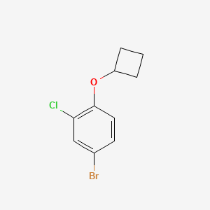 molecular formula C10H10BrClO B13986514 4-Bromo-2-chloro-1-cyclobutoxybenZene 