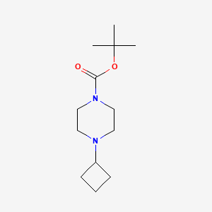 molecular formula C13H24N2O2 B1398699 Tert-butyl 4-cyclobutylpiperazine-1-carboxylate CAS No. 485798-62-7