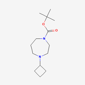 molecular formula C14H26N2O2 B1398700 Tert-butyl 4-cyclobutyl-1,4-diazepane-1-carboxylate CAS No. 851048-48-1