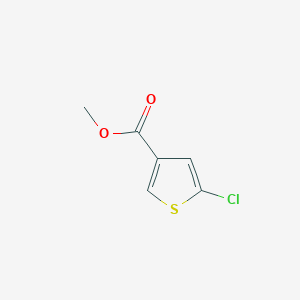 molecular formula C6H5ClO2S B1398737 5-氯噻吩-3-甲酸甲酯 CAS No. 36157-43-4