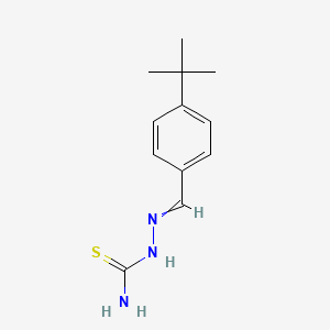 molecular formula C12H17N3S B13987586 4-tert-Butylbenzaldehyde thiosemicarbazone 