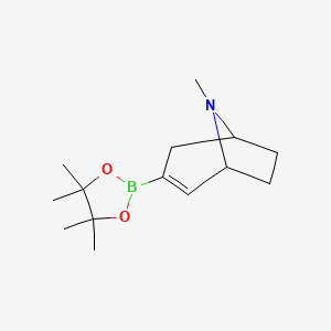 molecular formula C14H24BNO2 B1398796 (1R,5S)-8-Methyl-3-(4,4,5,5-tetramethyl-1,3,2-dioxaborolan-2-yl)-8-azabicyclo[3.2.1]oct-2-ene CAS No. 1779539-89-7