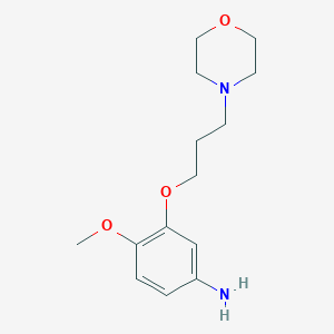 molecular formula C14H22N2O3 B13988188 4-Methoxy-3-(3-morpholinopropoxy)aniline 