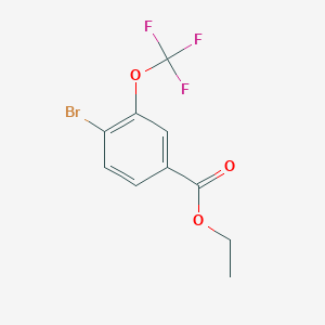 molecular formula C10H8BrF3O3 B13989854 Ethyl 4-bromo-3-(trifluoromethoxy)benzoate 