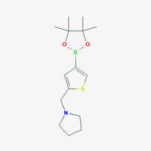 1-[[4-(4,4,5,5-Tetramethyl-1,3,2-dioxaborolan-2-yl)thiophen-2-yl]methyl]pyrrolidine