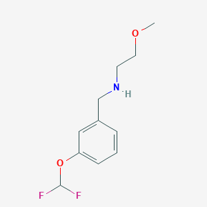molecular formula C11H15F2NO2 B1399037 {[3-(二氟甲氧基)苯基]甲基}(2-甲氧基乙基)胺 CAS No. 1249625-11-3