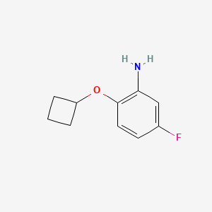 molecular formula C10H12FNO B1399048 2-Cyclobutoxy-5-fluoroaniline CAS No. 1249021-10-0