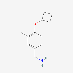 molecular formula C12H17NO B1399049 (4-Cyclobutoxy-3-methylphenyl)methanamine CAS No. 1250194-04-7