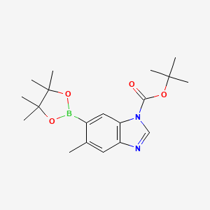 molecular formula C19H27BN2O4 B1399083 叔丁基5-甲基-6-(4,4,5,5-四甲基-1,3,2-二氧杂硼烷-2-基)-1H-苯并[d]咪唑-1-羧酸酯 CAS No. 631909-46-1