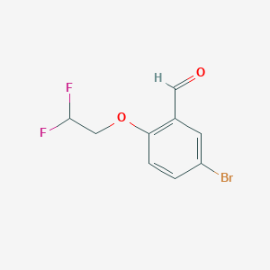 molecular formula C9H7BrF2O2 B1399157 5-Bromo-2-(2,2-difluoroethoxy)benzaldehyde CAS No. 1184290-32-1