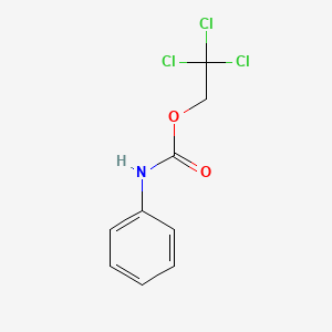 molecular formula C9H8Cl3NO2 B13993040 2,2,2-Trichloroethyl phenylcarbamate CAS No. 42864-21-1