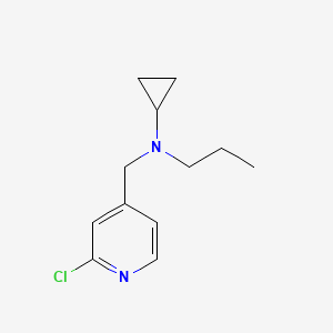 molecular formula C12H17ClN2 B1399486 N-[(2-chloropyridin-4-yl)methyl]-N-propylcyclopropanamine CAS No. 1250350-65-2