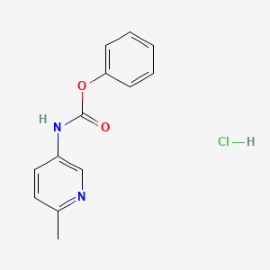 molecular formula C13H13ClN2O2 B13995081 phenyl N-(6-methylpyridin-3-yl)carbamate;hydrochloride CAS No. 1628206-34-7