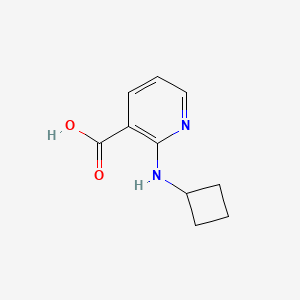 molecular formula C10H12N2O2 B1399600 2-(环丁基氨基)烟酸 CAS No. 1343611-34-6