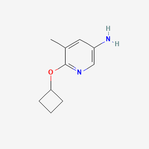 molecular formula C10H14N2O B1399684 6-环丁氧基-5-甲基吡啶-3-胺 CAS No. 1247633-25-5