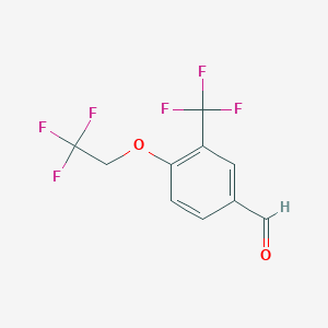 molecular formula C10H6F6O2 B1399775 4-(2,2,2-三氟乙氧基)-3-三氟甲基苯甲醛 CAS No. 1158254-48-8