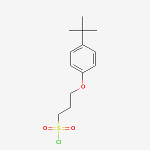 3-(4-Tert-butylphenoxy)propane-1-sulfonyl chloride