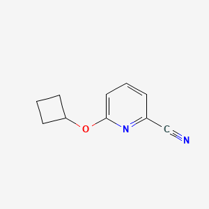 molecular formula C10H10N2O B1399990 6-环丁氧基吡啶-2-碳腈 CAS No. 1340091-97-5