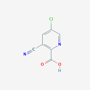 molecular formula C7H3ClN2O2 B1400200 5-氯-3-氰基吡啶-2-羧酸 CAS No. 1256833-56-3
