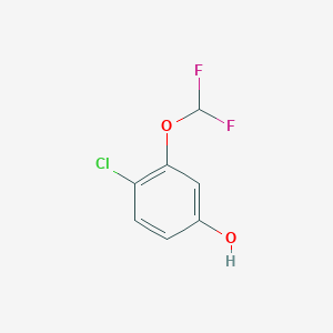 molecular formula C7H5ClF2O2 B1400303 4-氯-3-二氟甲氧基苯酚 CAS No. 1261440-11-2