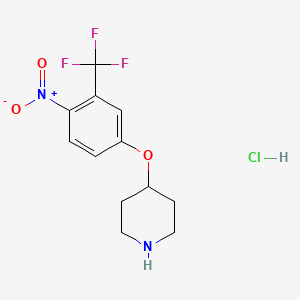 B1400365 4-(4-Nitro-3-trifluoromethyl-phenoxy)-piperidine hydrochloride CAS No. 1247029-38-4