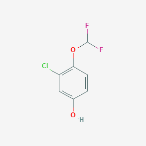 molecular formula C7H5ClF2O2 B1400480 3-氯-4-(二氟甲氧基)苯酚 CAS No. 1261604-72-1