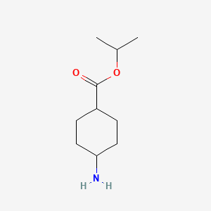 molecular formula C10H19NO2 B1400561 trans 4-Amino-cyclohexanecarboxylic acid isopropyl ester CAS No. 1193512-60-5