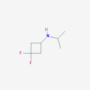 molecular formula C7H13F2N B1400612 3,3-Difluoro-N-(propan-2-yl)cyclobutan-1-amine CAS No. 1873960-54-3