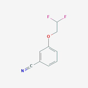 molecular formula C9H7F2NO B1400709 3-(2,2-Difluoroethoxy)benzonitrile CAS No. 1178425-73-4