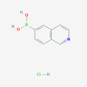 molecular formula C9H9BClNO2 B1400871 Isoquinolin-6-ylboronic acid hydrochloride CAS No. 1236031-63-2