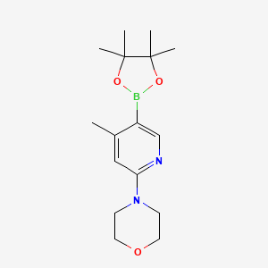 molecular formula C16H25BN2O3 B1400897 4-(4-甲基-5-(4,4,5,5-四甲基-1,3,2-二氧杂硼烷-2-基)吡啶-2-基)吗啉 CAS No. 1684430-49-6