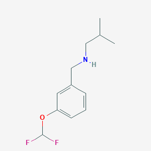 molecular formula C12H17F2NO B1401105 {[3-(Difluoromethoxy)phenyl]methyl}(2-methylpropyl)amine CAS No. 1340509-79-6