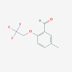 molecular formula C10H9F3O2 B1401113 5-Methyl-2-(2,2,2-trifluoroethoxy)-benzaldehyde CAS No. 1191284-13-5
