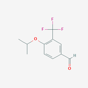 molecular formula C11H11F3O2 B1401119 4-Isopropoxy-3-trifluoromethylbenzaldehyde CAS No. 1289092-04-1
