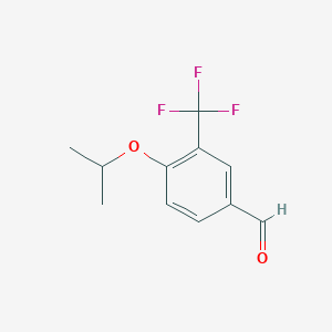 molecular formula C11H11F3O2 B1401119 4-Isopropoxy-3-trifluorométhylbenzaldéhyde CAS No. 1289092-04-1