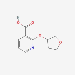 molecular formula C10H11NO4 B1401156 2-((四氢呋喃-3-基)氧基)烟酸 CAS No. 1343106-79-5