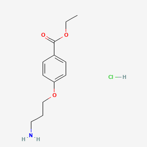 molecular formula C12H18ClNO3 B1401238 4-(3-氨基丙氧基)苯甲酸乙酯;盐酸盐 CAS No. 100840-70-8