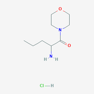 molecular formula C9H19ClN2O2 B1401253 [1-(Morpholin-4-ylcarbonyl)butyl]amine hydrochloride CAS No. 2197422-41-4