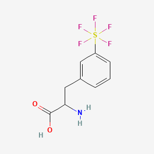 molecular formula C9H10F5NO2S B1401356 3-(五氟硫)-DL-苯丙氨酸 CAS No. 1266124-50-8