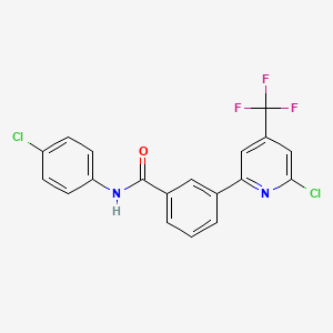 molecular formula C19H11Cl2F3N2O B1401773 N-(4-氯苯基)-3-(6-氯-4-三氟甲基吡啶-2-基)苯甲酰胺 CAS No. 1311279-49-8