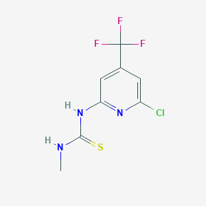 molecular formula C8H7ClF3N3S B1401867 1-(6-氯-4-三氟甲基-吡啶-2-基)-3-甲基-硫脲 CAS No. 1311278-36-0